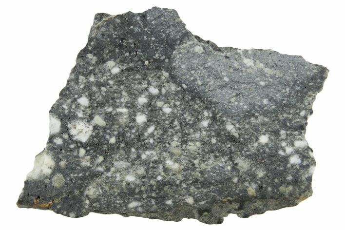 Polished Lunar Meteorite ( g) Slice - Aridal #360160